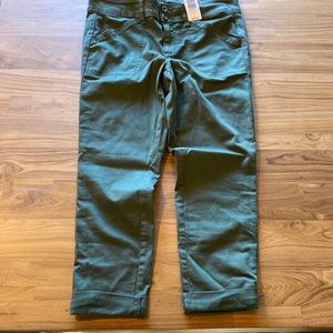 Torrid olive aviator crop 12